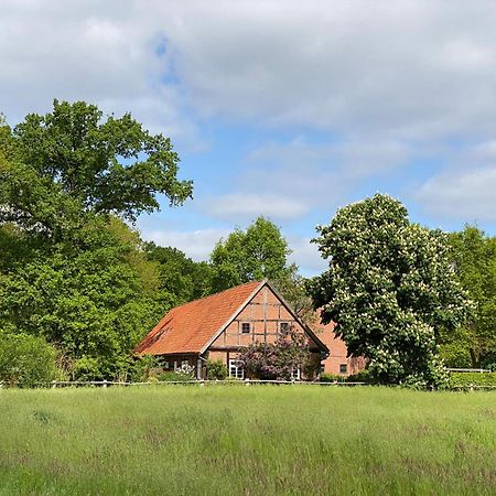 Ferienhaeuser Weitblick Gilten Esterno foto