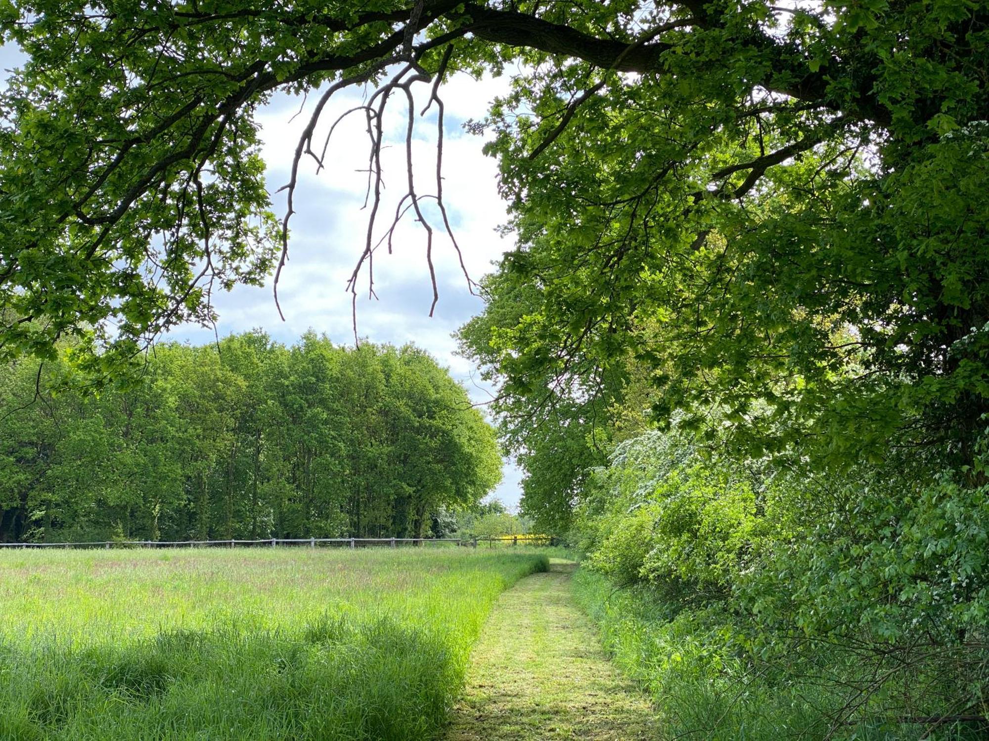Ferienhaeuser Weitblick Gilten Esterno foto